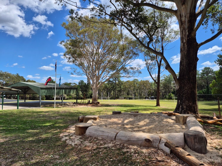 Image of large school playground.